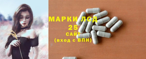 мяу мяу мука Билибино