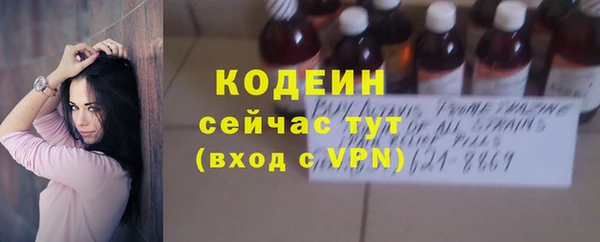 мяу мяу мука Билибино