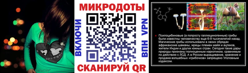 Галлюциногенные грибы Psilocybe  купить закладку  Грайворон 